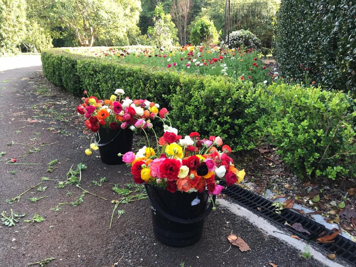Flower Farm Tamborine Mountain タンボリーン・マウンテン エクステリア 写真