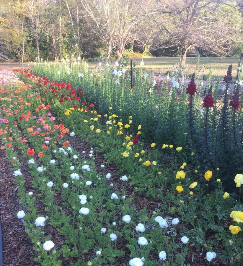 Flower Farm Tamborine Mountain タンボリーン・マウンテン エクステリア 写真